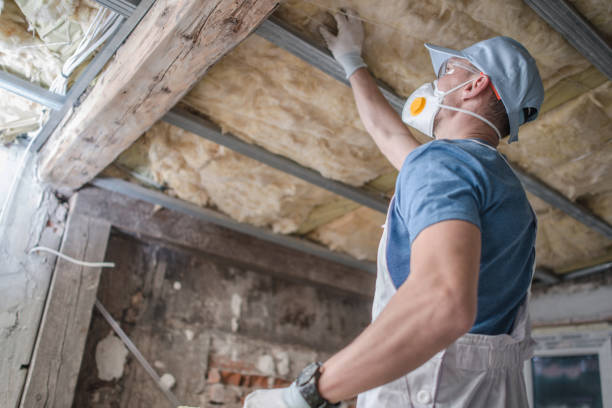 Best Insulation Maintenance and Repair in Jacksonville Beach, FL