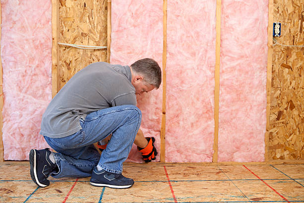Best Insulation Installation Services in Jacksonville Beach, FL